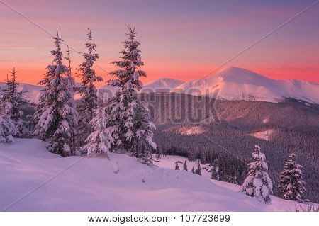 Fantastic orange evening landscape glowing by sunlight. Dramatic wintry scene with snowy trees. Kukul ridge, Carpathians, Ukraine, Europe. Merry Christmas!