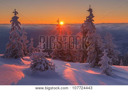 Fantastic orange evening landscape glowing by sunlight. Dramatic wintry scene with snowy trees. Kukul ridge, Carpathians, Ukraine, Europe. Merry Christmas!