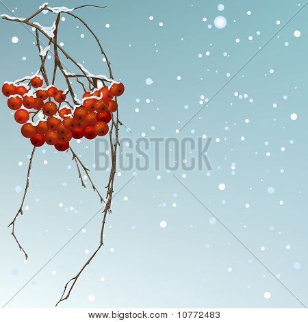 Sorbo thread sfondo invernale