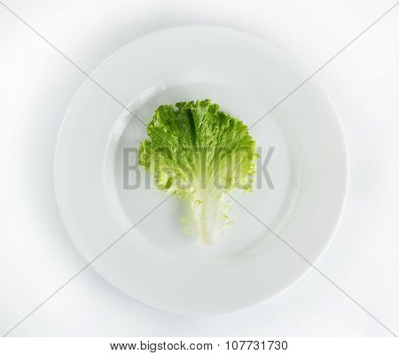 Fresh Lettuce In Plate Isolated On White Background