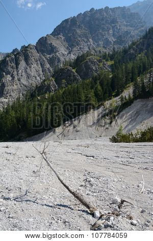 Withered Tree On Talus In Wimbachtal Valley In Alps In Germany