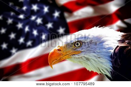 Wallpaper of North American Bald Eagle On American Blurred Flag