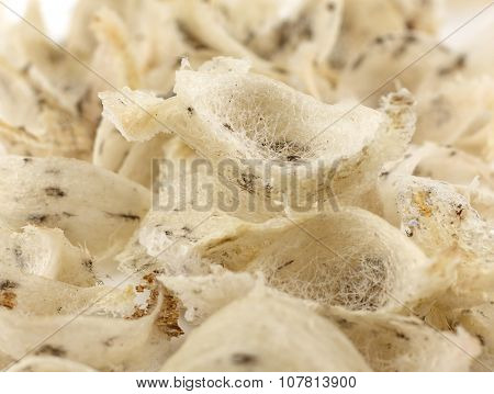Group Of Uncook  And Dirty Swallow Nest