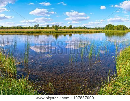 Summer Rushy Lake