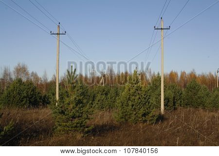 Power Line