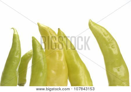 Green Pepper Isolated On White