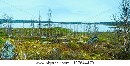 Tornetrask Lake Summer View ( Lapland, Sweden)