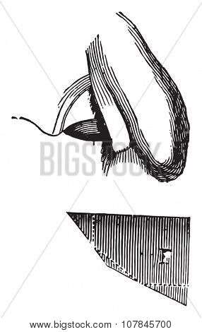 Wollaston camera lucida, vintage engraved illustration. Industrial encyclopedia E.-O. Lami - 1875.