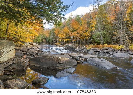 River Flowing Through A Forest In Autumn - Ontario, Canada