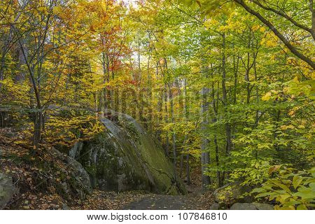 Large Precambrian Rock Next To A Trail - Ontario, Canada