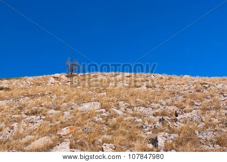 Crimean mountain simple landscape at fall season