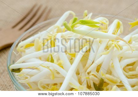 Mung Bean Sprouts In Glass Cup.