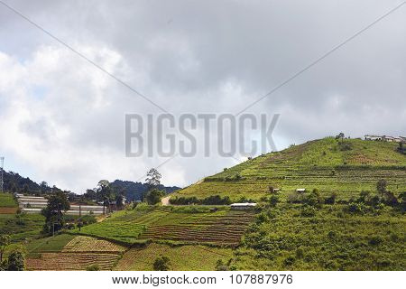 Chiang Mai