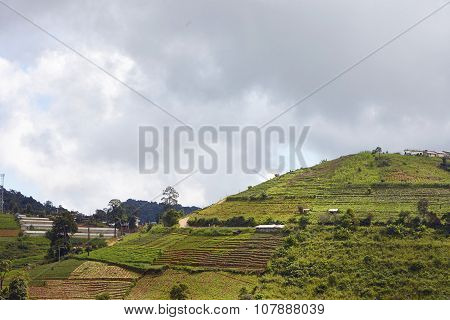Chiang Mai