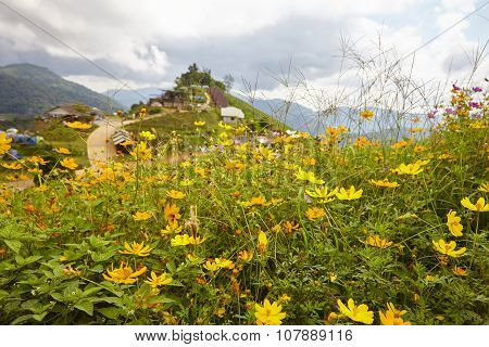 Chiang Mai