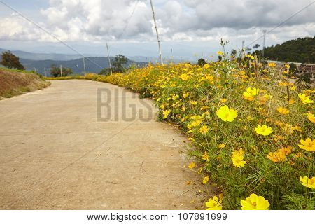Chiang Mai
