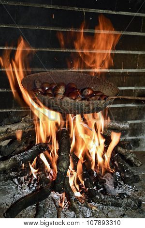 a pen with chestnuts being roasted in the flames of a log fire