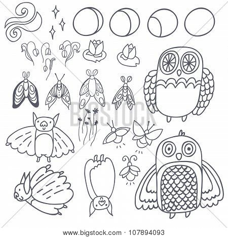 Night creatures outline vector set with adorable owls, bats, fireflies and moths. Moon phases. Hand