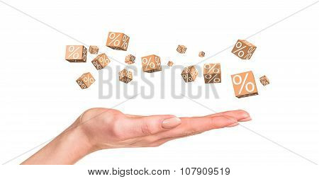 Discount boxes with percents.