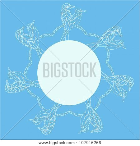 white birds