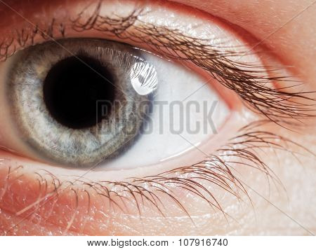 Human Eye From Close Range