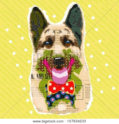 Sheep-dog