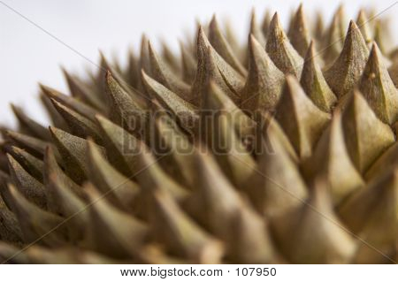 Durian 4