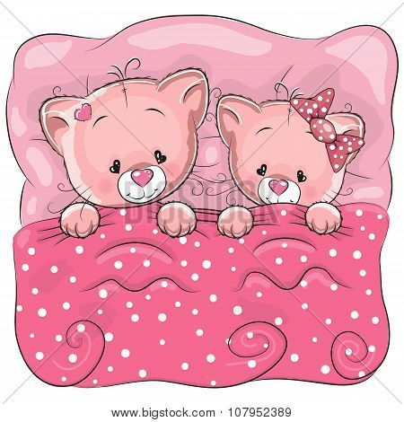 Two Cats