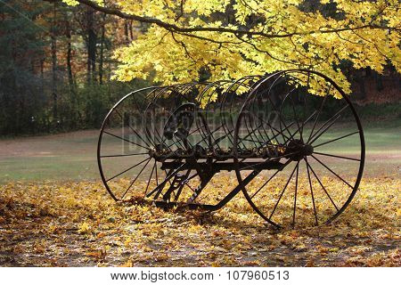 Hay Rake in Fall