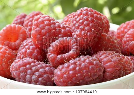 Raspberry