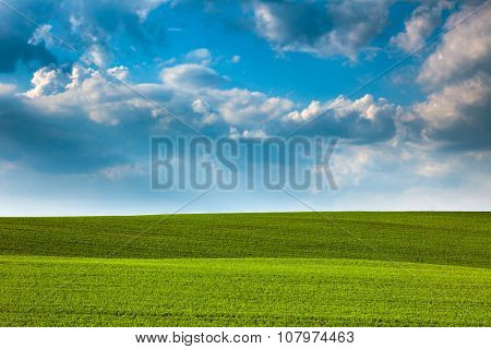 Abstract Green Fields and Blue Sky Background - beautiful nature landscape, idillyc waves of hills