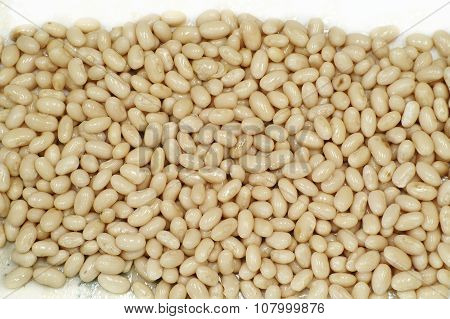 beans and pulses