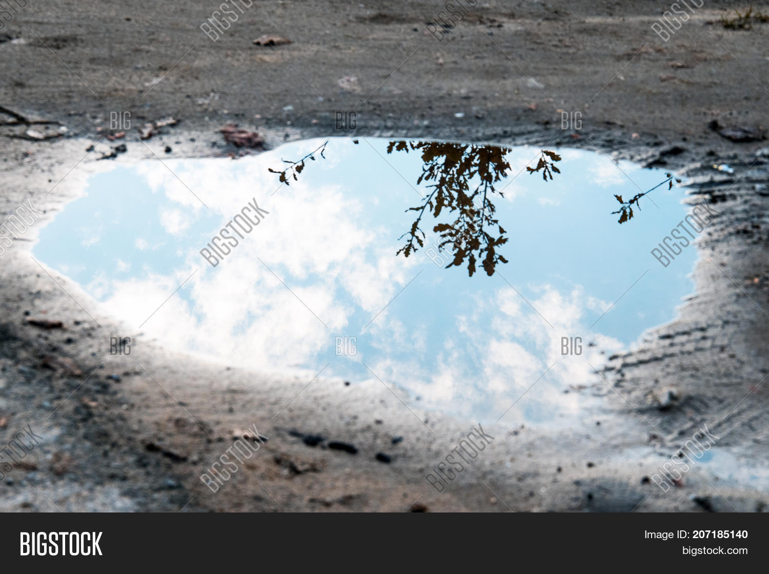 Water Puddle On Ground Image & Photo (Free Trial) | Bigstock