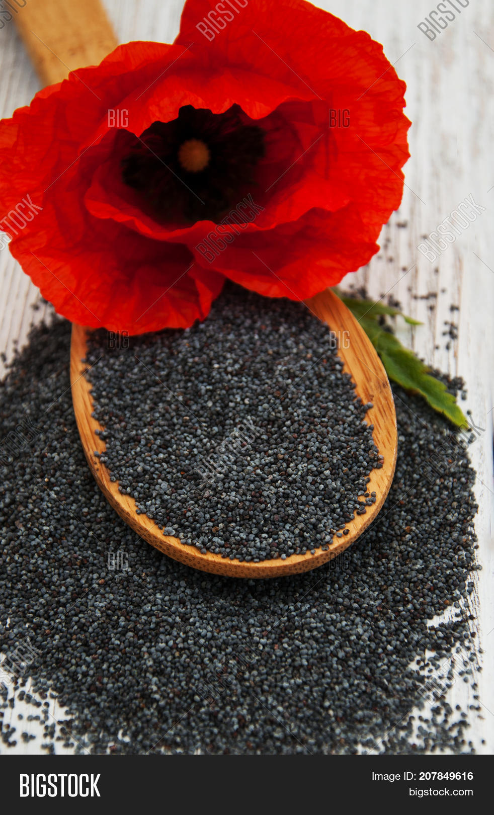 Poppy Seeds Flowers Image & Photo (Free Trial) Bigstock