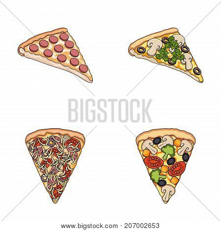 A slice of pizza with different ingredients. Different pizza set collection icons in cartoon style vector symbol stock illustration .