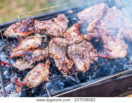 Nutria meat on grill.