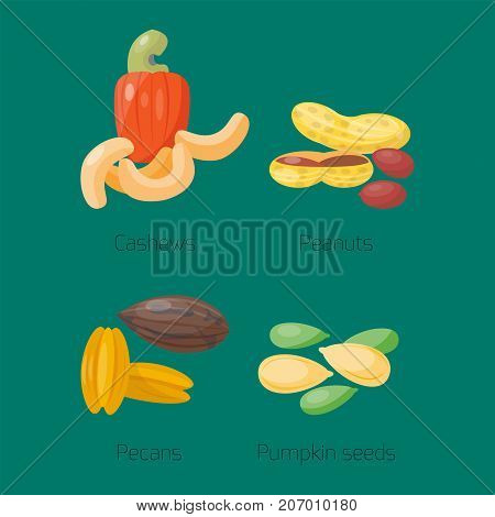 Piles of different nuts peanut cashew nut pumpkin seeds and brazil tasty vector illustration. Organic collection nutshell group assortment nutrition vegetarian nutrition.