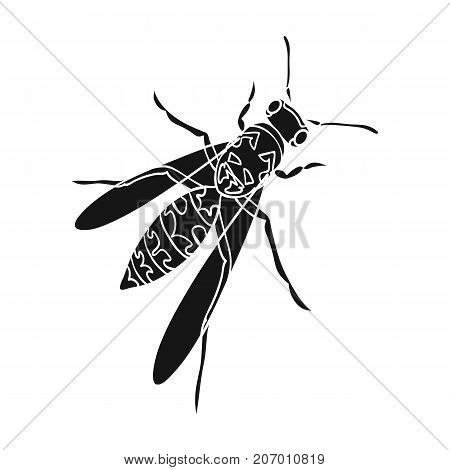 Wasp, hymenopteran insect.Wasp, stinging insect single icon in black style vector symbol stock isometric illustration .
