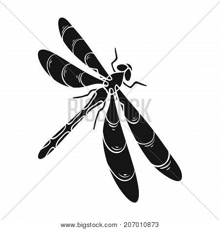 A dragonfly, a predatory insect.Dragonfly flying invertebrate insect single icon in black style vector symbol stock isometric illustration .