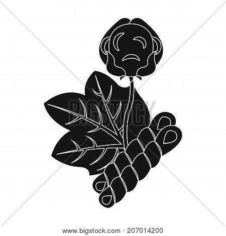 Cotton, single icon in black style.Cotton vector symbol stock illustration .