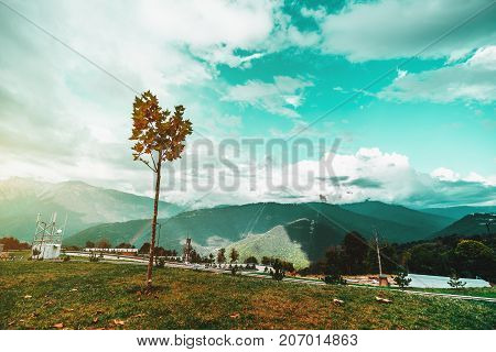 Autumn wide-angle scenery: single young partly dry maple tree in foreground on a glade and bright teal sky with cloudscape rainbow and mountain ridge in foreground; copy space for logo or your text