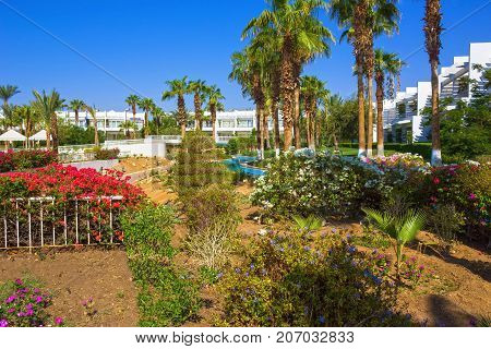 Sharm El Sheikh, Egypt - September 26, 2017: Buildings and Area Hotel Monter Carlo Sharm Resort and SPA at Sharm El Sheikh, Egypt on September 26, 2017