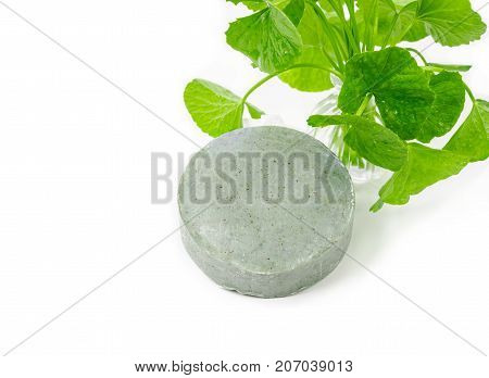 Soap centella asiatice with fresh green leaf centella isolated on white background.