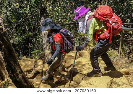 Ranau,Sabah,Malaysia-March13,2016: Group of climbers move down from Laban Rata to Timpohon Gate at the Majestic Mount Kinabalu,Sabah.There are two new summit trails,Ranau Trail & Kota Belud Trail.