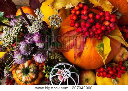 Pumpkin, Rowan Berries, Clower And Vivid Leaves, Top View