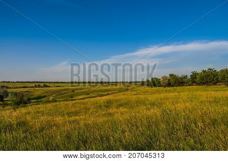 Ukrainian Steppe Near The Town Of Polohy