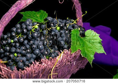 Red Wine Grapes In Voiolet Basket On Bllack Background.