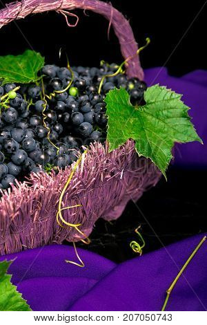 Red Wine Grapes In Voiolet Basket On Bllack Background.