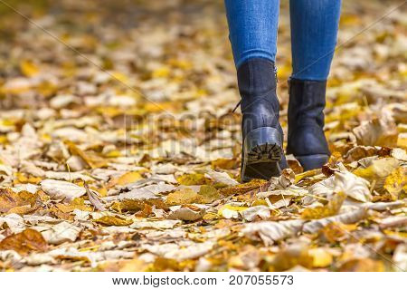 Woman feet wearing boots walking on fall leaves outdoor with autumn season.