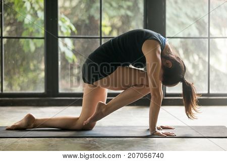 Young attractive woman practicing yoga at home, sitting in Bird dog exercise, Knee to Forehead curl pose, working out, wearing sportswear, black shorts and top, indoor full length, studio background